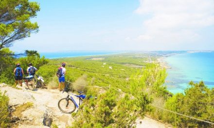 Formentera: l’anima verde della più piccola delle Baleari, tra posidonia, birdwatching e trekking