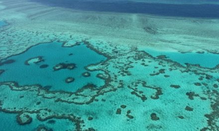 Australia: barriera corallina “a rischio” come Venezia: Canberra contro l’Unesco (e la Cina)