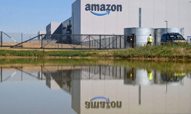 Amazon investe 2 milioni di euro per piantare alberi in Italia