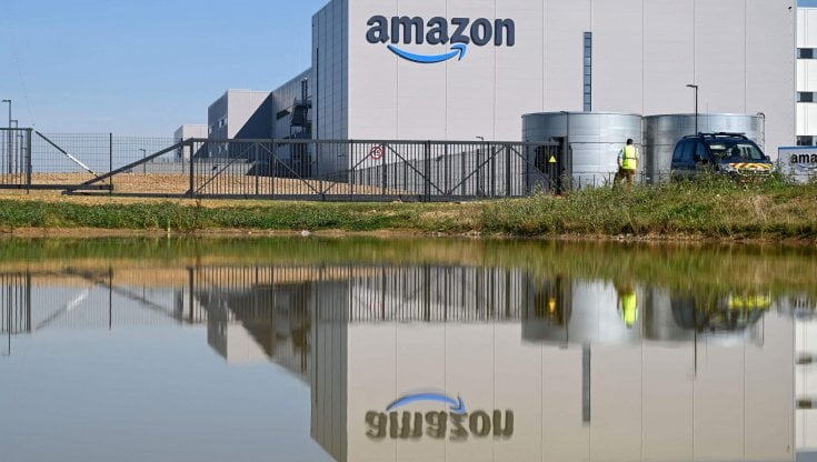 Amazon investe 2 milioni di euro per piantare alberi in Italia