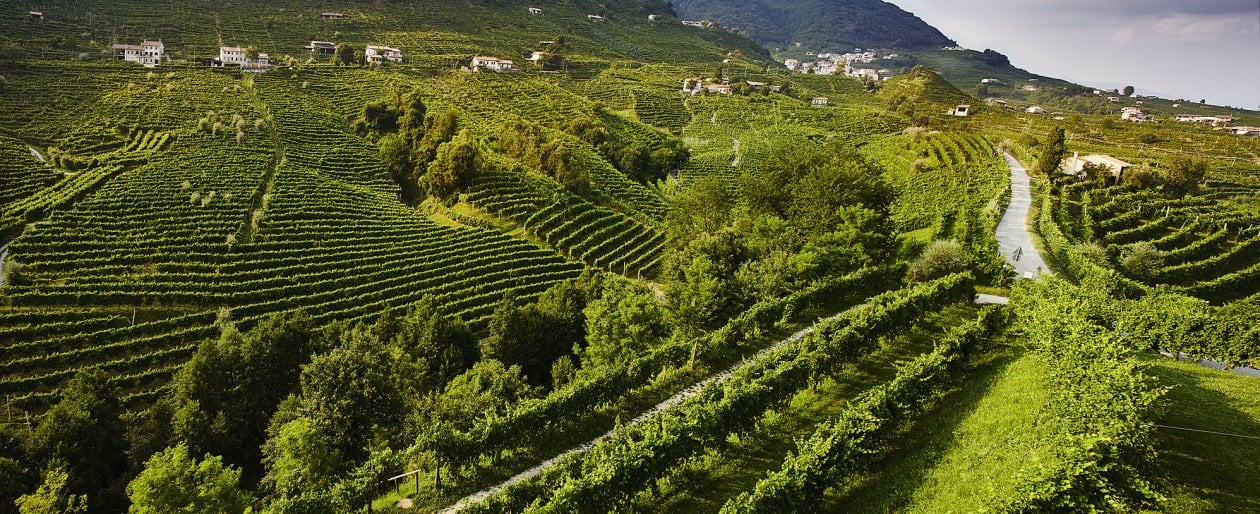 Treviso e quell’oceano verde: tra vigneti, abbazie e memorie di Canova e Bonaparte, nel “giardino di Venezia”