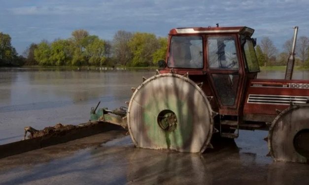 Abbazie, castelli e memorie antiche riflesse nell’acqua. Tra Piemonte e Lombardia, la terra del riso