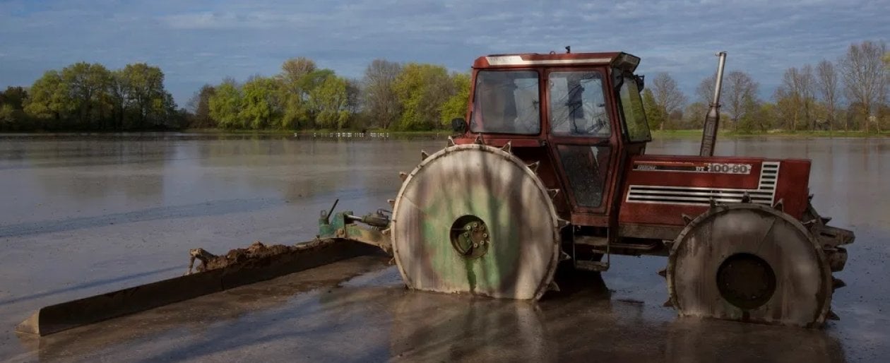 Abbazie, castelli e memorie antiche riflesse nell’acqua. Tra Piemonte e Lombardia, la terra del riso