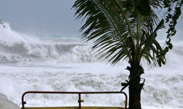 Oceani più caldi e salati: così il mare assorbe il calore e la corrente del Golfo rallenta