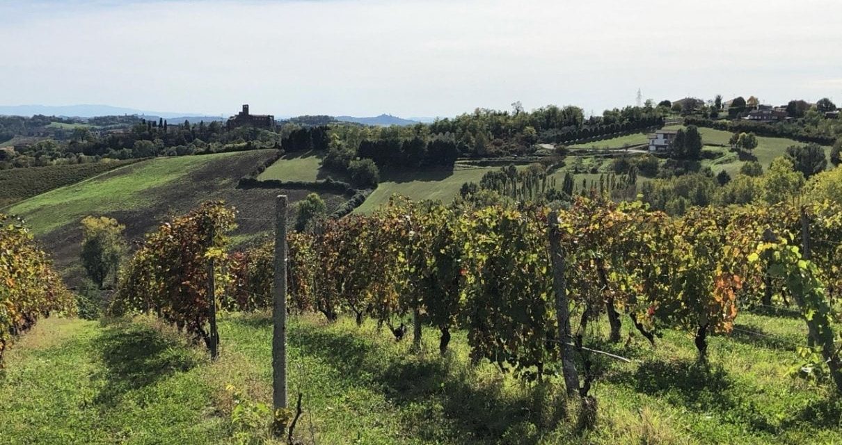 Monferrato:  tra spirito e natura da Casale al santuario di Crea