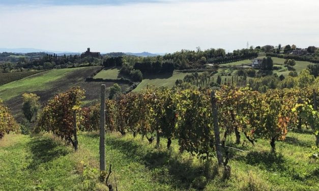 Monferrato:  tra spirito e natura da Casale al santuario di Crea