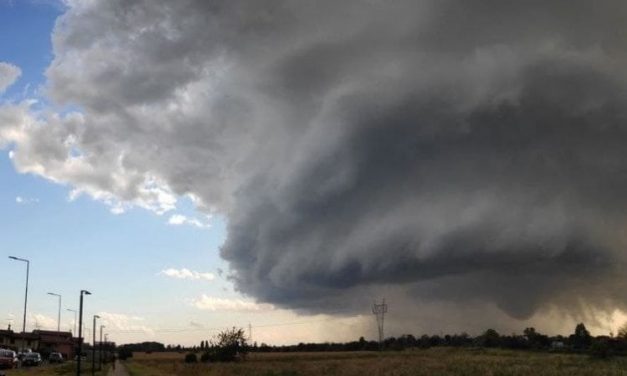 L’esperta di foreste che studia i tornado: “Per salvare campi e boschi dobbiamo conoscere il nemico”