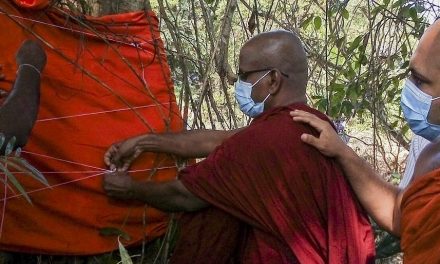 I monaci buddisti salvano l’ultimo esemplare di legume dello Sri Lanka: “L’autostrada cambierà percorso”