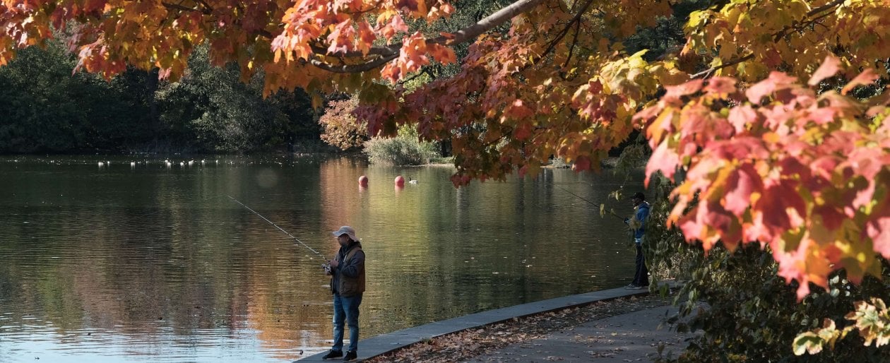 Usa, addio foliage: i cambiamenti climatici stanno cancellando la magia dei colori dell’autunno