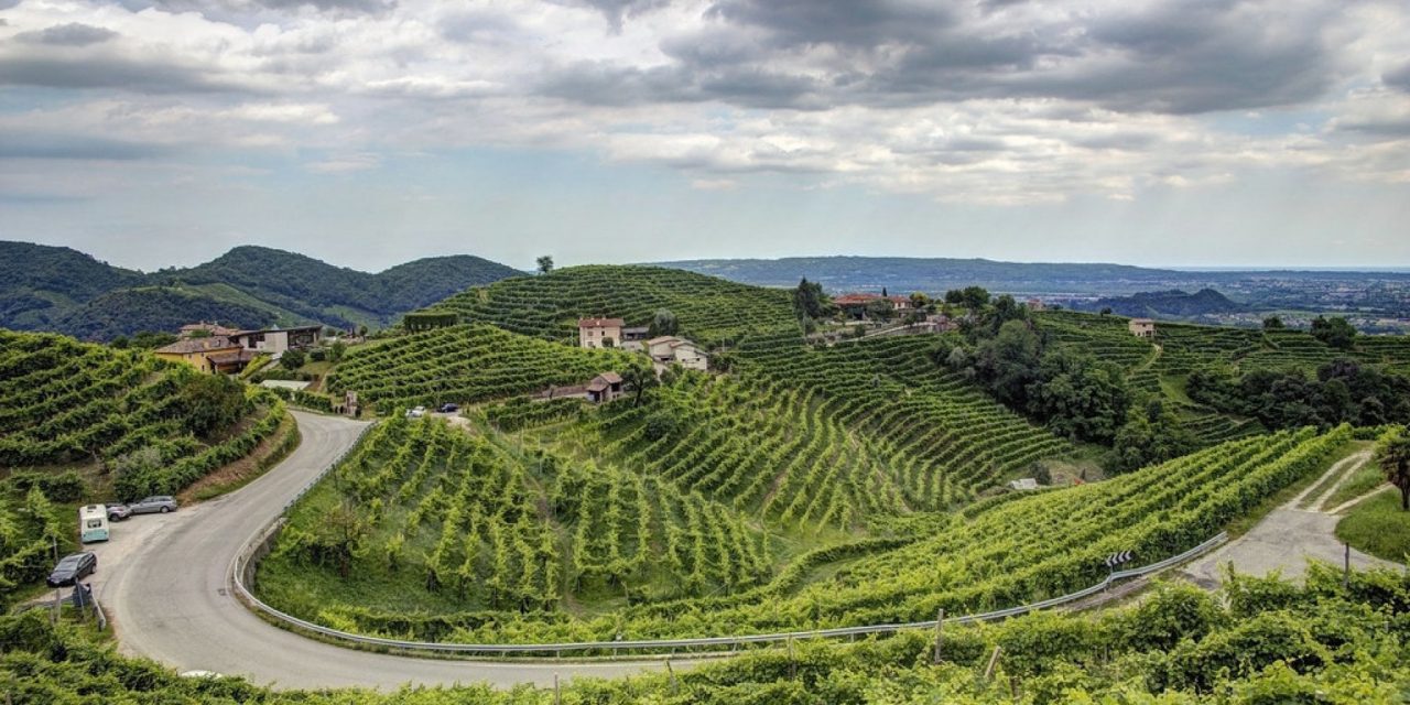 A Firenze si associano i Paesaggi rurali storici per l’alleanza tra agricoltura e riforestazione