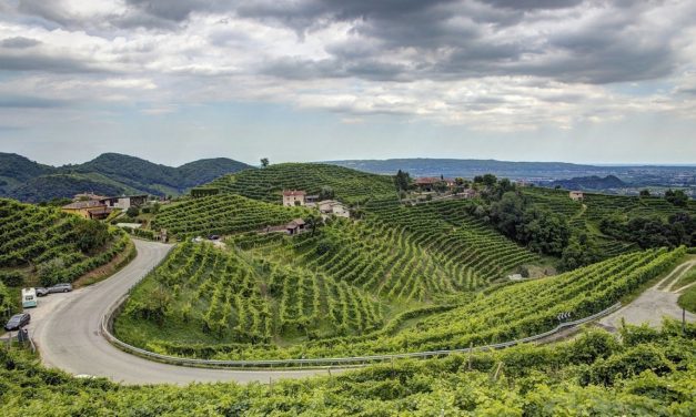 A Firenze si associano i Paesaggi rurali storici per l’alleanza tra agricoltura e riforestazione