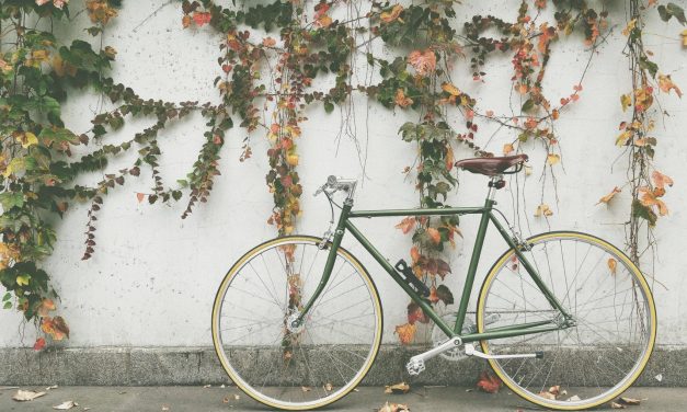 Il buon senso che fa bene al Pianeta: 21 idee per cambiare abitudini e difendere l’ambiente