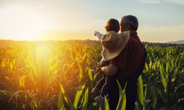 Salvaguardia del suolo e della filiera agroalimentare: un treno da non perdere