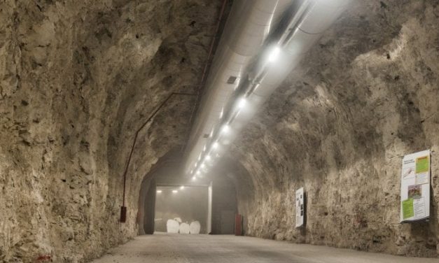 In Trentino una cantina naturale, “mele conservate nel cuore della montagna”