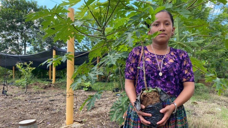 L’oro dei Maya: la lotta delle comunità indigene (e di un’azienda italiana) contro la deforestazione del Guatemala