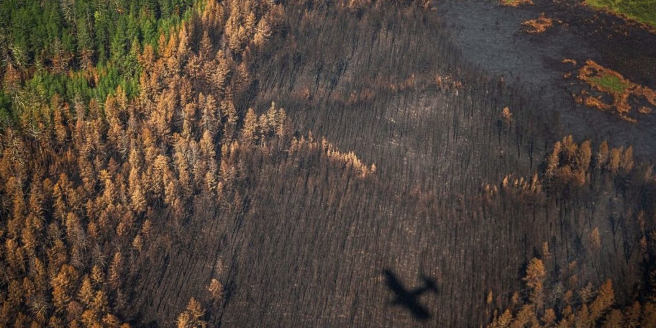 Ora è confermato: nel 2020 nel Circolo polare Artico registrata la temperatura più alta da 135 anni