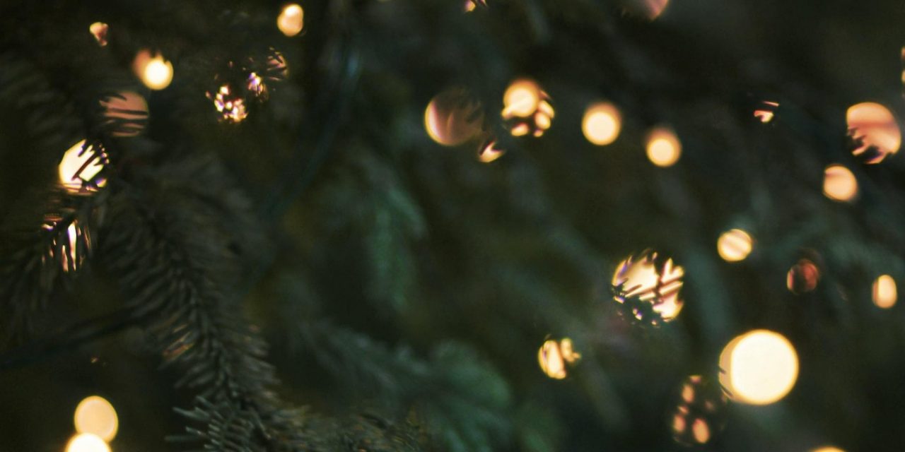 Pedalando sulle bici per accendere le luci dell’albero di Natale