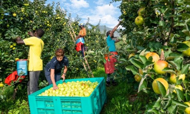 Lavoratori stagionali, in Trentino un esempio virtuoso