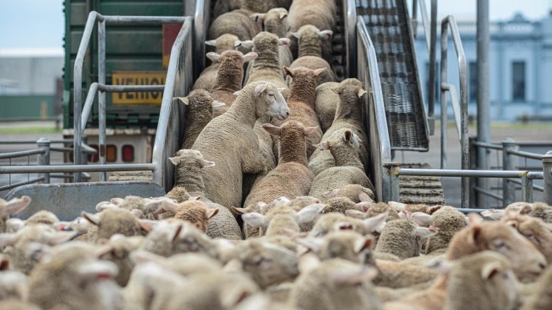 Cresce ancora il consumo di carne, ma il picco si avvicina