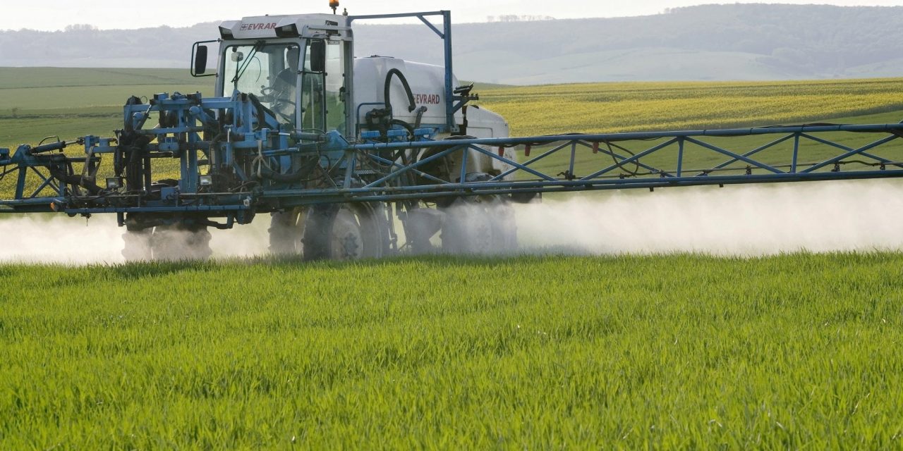 “Clima e prezzi, mazzata sull’agricoltura. In Veneto soffrono vite, mais e soia”