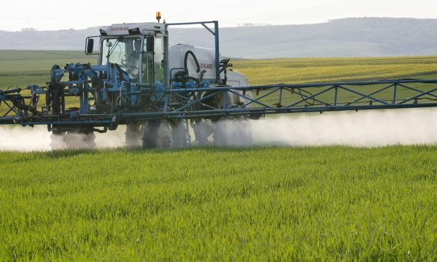 “Clima e prezzi, mazzata sull’agricoltura. In Veneto soffrono vite, mais e soia”