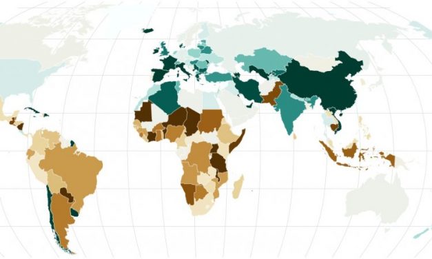 La mappa delle foreste: quante ne abbiamo perse e quante ne sono cresciute in 30 anni