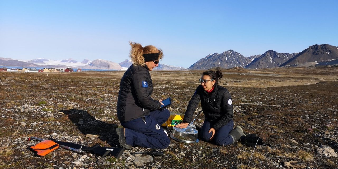 Pozzo o sorgente: dipende dal clima se la tundra artica cattura o rilascia CO2