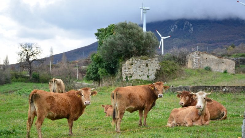 La Campania è nella top ten dell’eolico ma rallenta