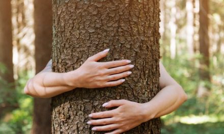 Latini (Coop): “La Gdo può dare un grande contributo alla tutela dell’ambiente”