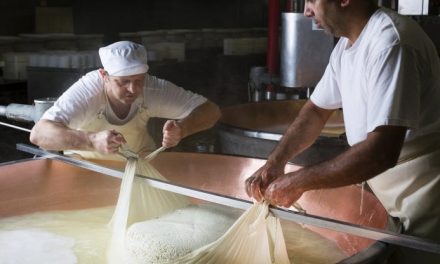 Una “semplice” idea per il risparmio energetico dei caseifici del Grana Padano