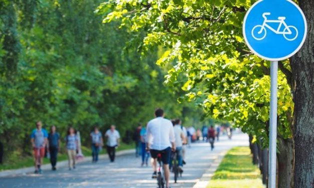 Strade senza auto, tassa di congestione e piste ciclabili al posto dei parcheggi: dodici soluzioni per ridurre il traffico