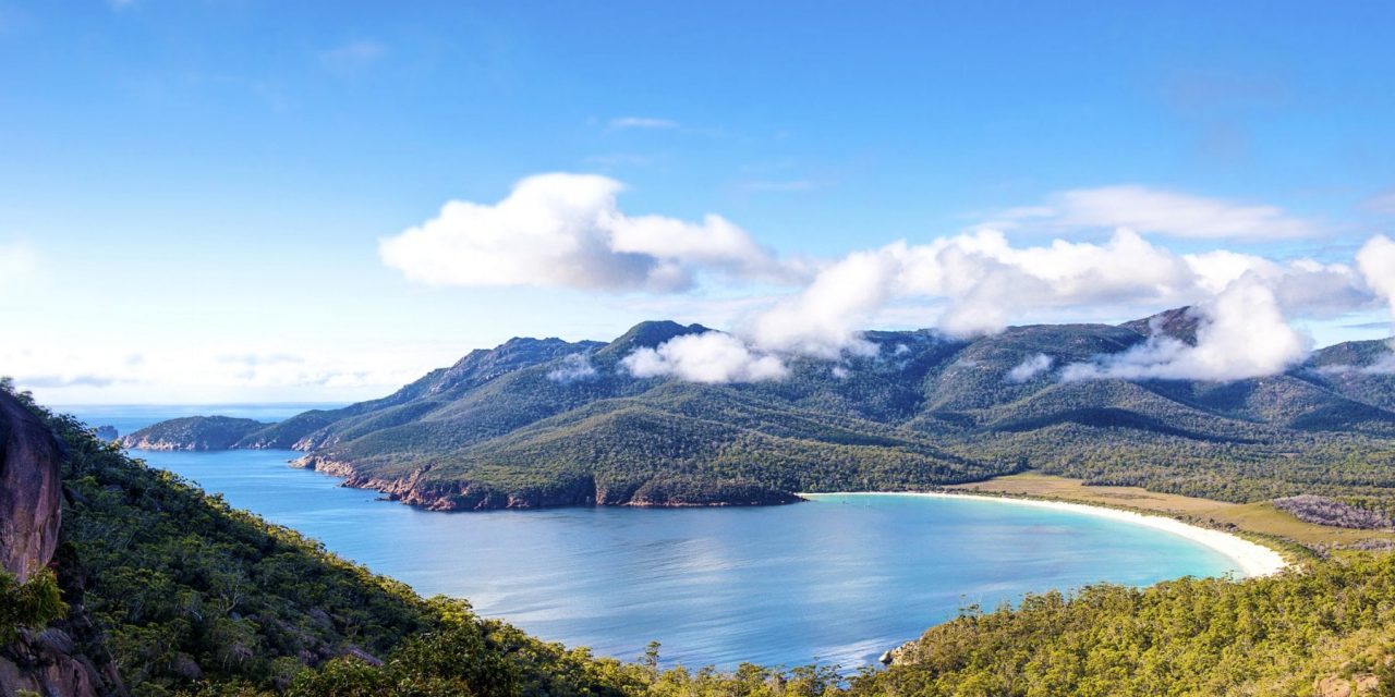 La lezione della Tasmania: dalla deforestazione a Paese che assorbe più CO2 di quanta ne emette