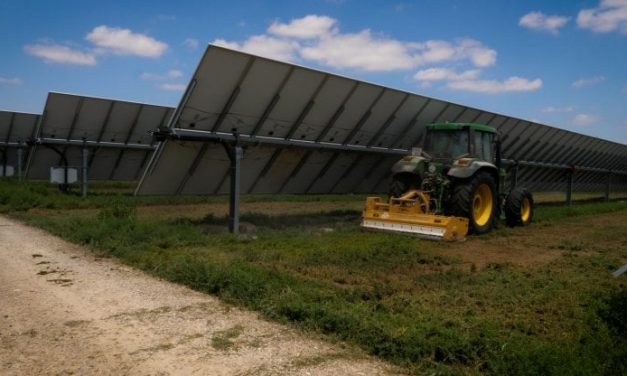 L’agrovoltaico accelera il cammino verso l’indipendenza energetica