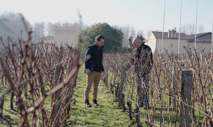 Come sarà il vino nel 2050 con un clima di 2-3 gradi in più? Il re del Bordeaux mette alla prova l’uva