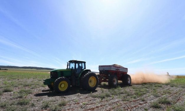 La sfida dell’agricoltura: produrre di più impattando meno sull’ambiente