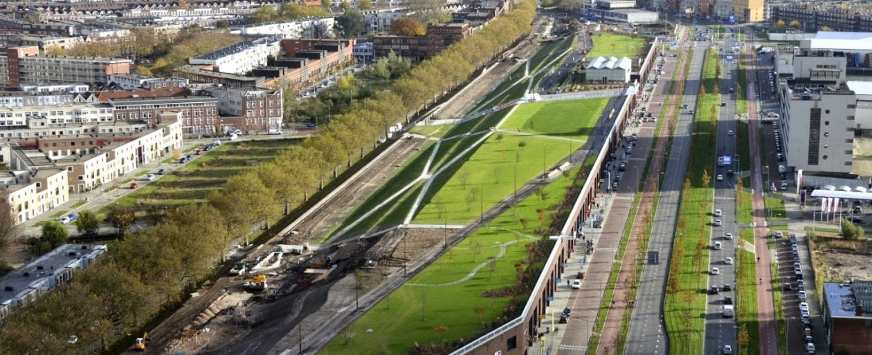 Giardini e pannelli solari sui tetti: Rotterdam vuole vincere la sfida contro la crisi climatica