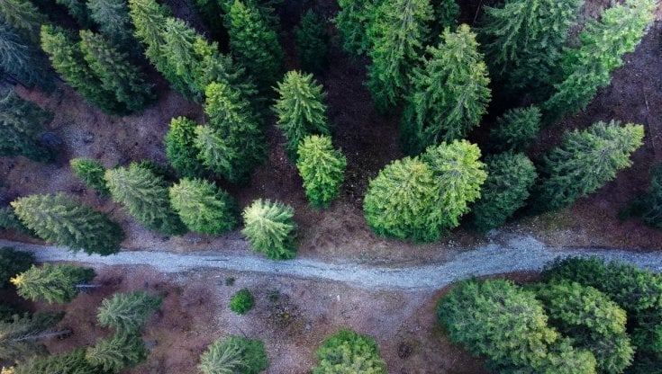 Sui “Cammini d’Acqua” per scoprire il territorio attraverso la sua risorsa più preziosa