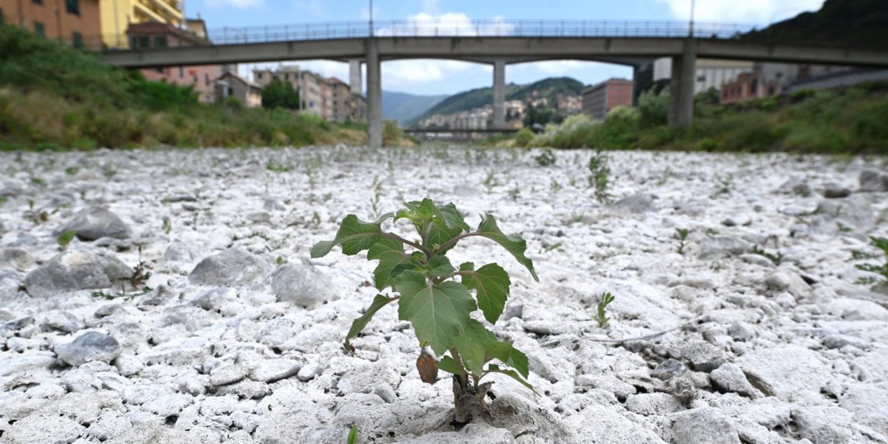 Nei prossimi 30 anni la siccità colpirà soprattutto l’Europa mediterranea