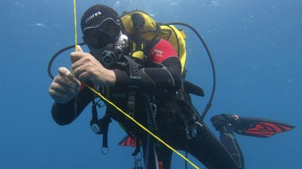 Il caldo stravolge il mare: a Taranto meno cozze e più meduse