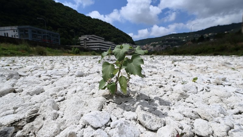 “L’Italia ha un piano per l’adattamento climatico, ma è rimasto in un cassetto del ministero”