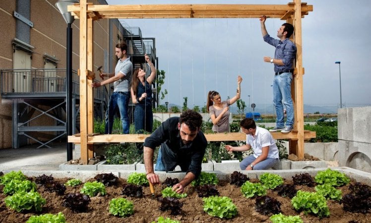 A Marcianise fiorisce un orto nel cemento