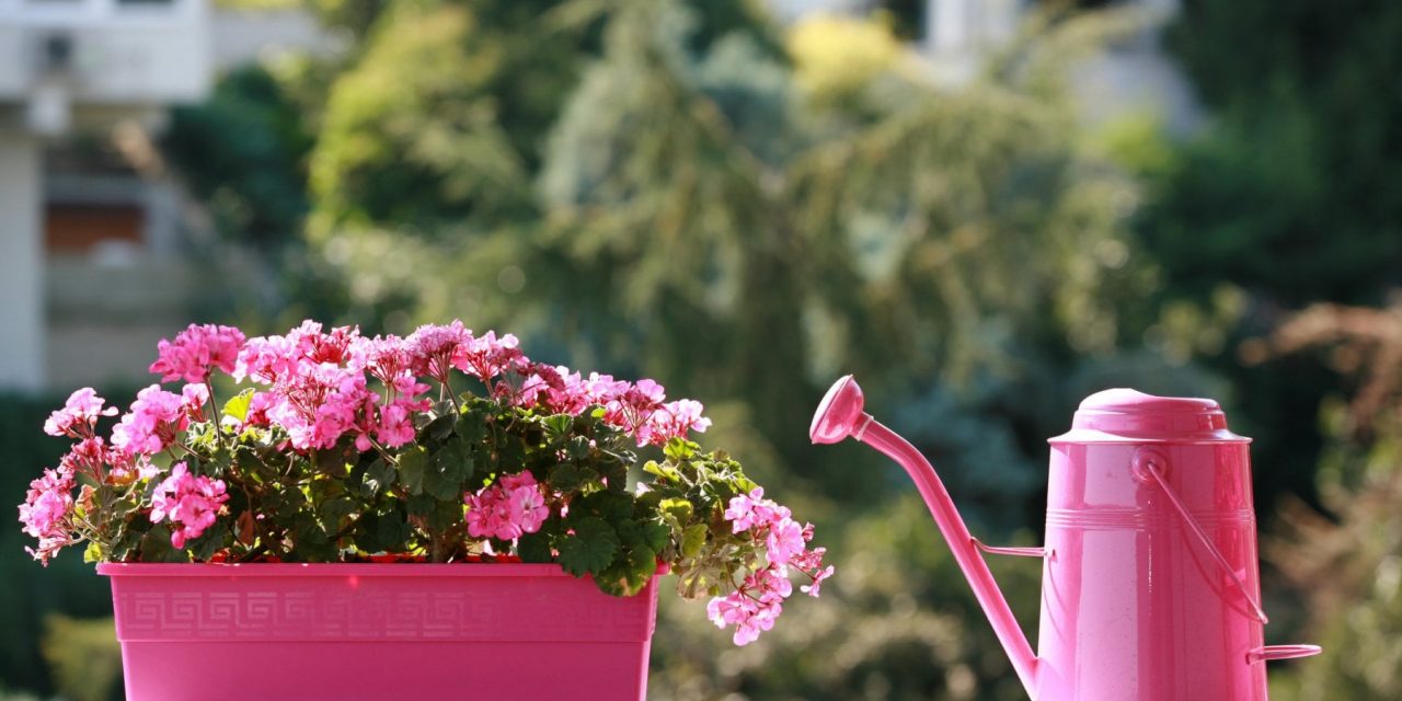 Innaffiare senza sprechi: 10 consigli per risparmiare acqua in balcone e in giardino