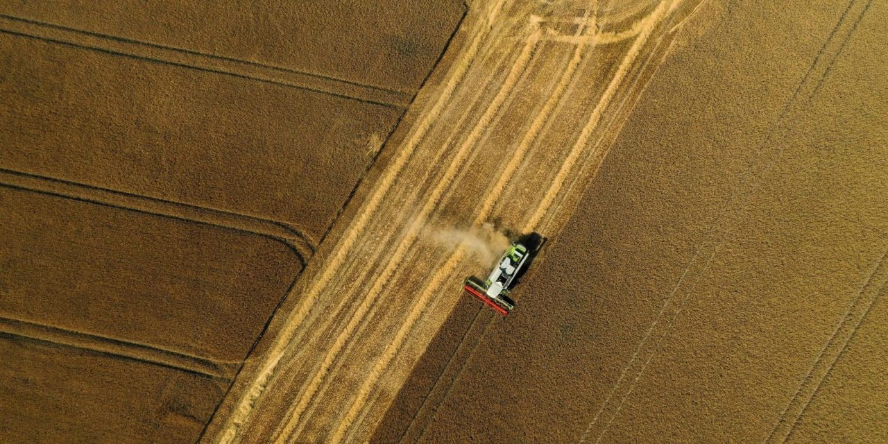 Perché con la siccità dovremmo pensare anche alle alluvioni