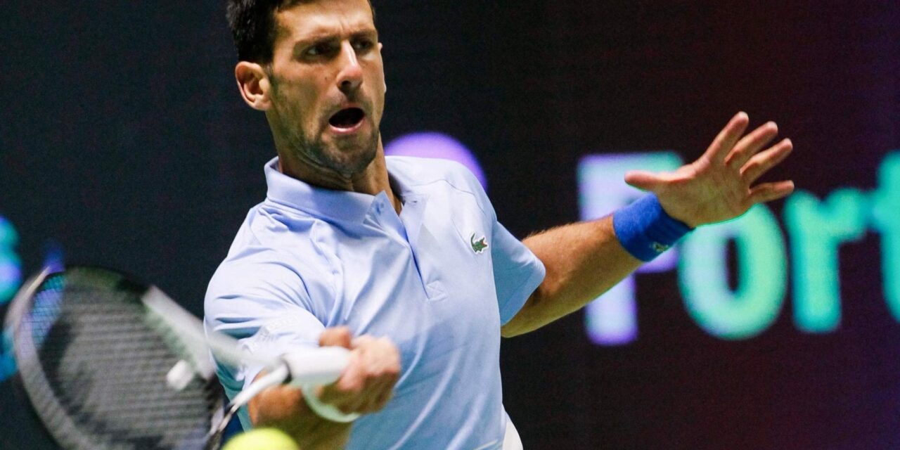 Un coleottero dedicato a Novak Djokovic