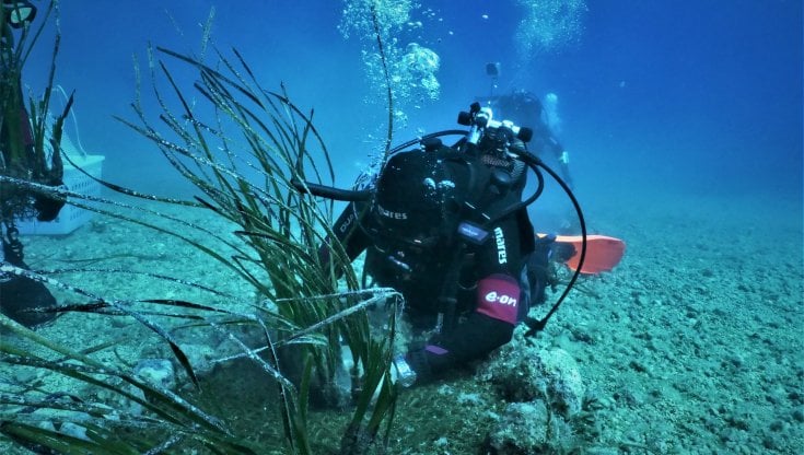 Dal mare all’oceano: energia e sostenibilità sulla cresta dell’onda