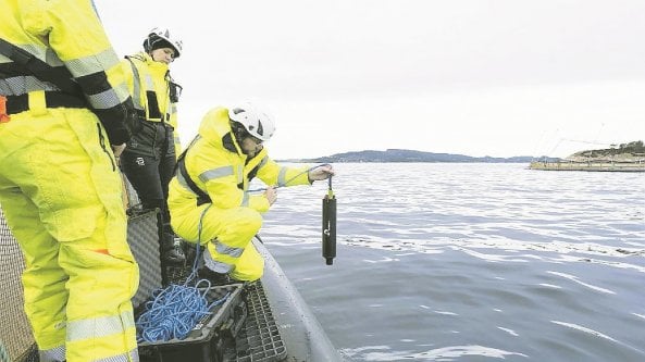 Wsense, i nodi sottomarini per scoprire i segreti del mare