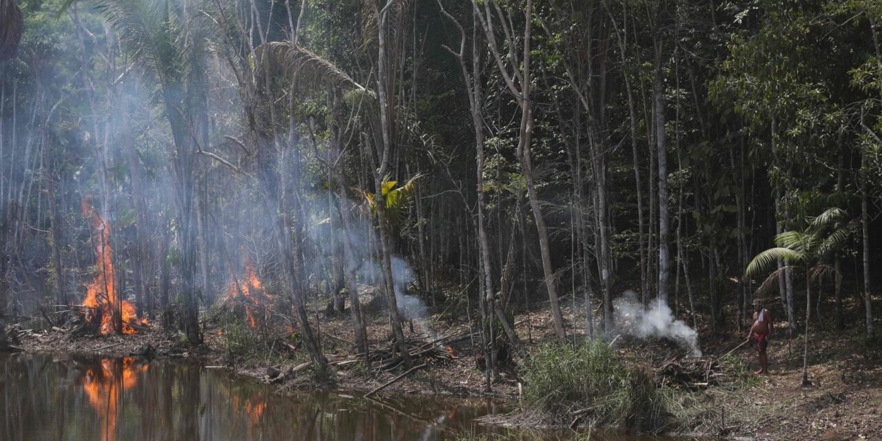 Starlink in Amazzonia, e le organizzazioni criminali ne approfittano