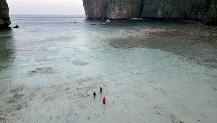 Thailandia. Nella baia di “The Beach” i turisti mettono già in fuga gli squali. E non è una buona notizia