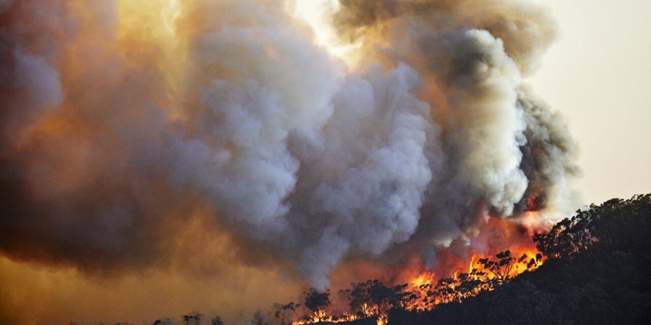 Con gli incendi in Australia il buco dell’ozono si è allargato del 10%