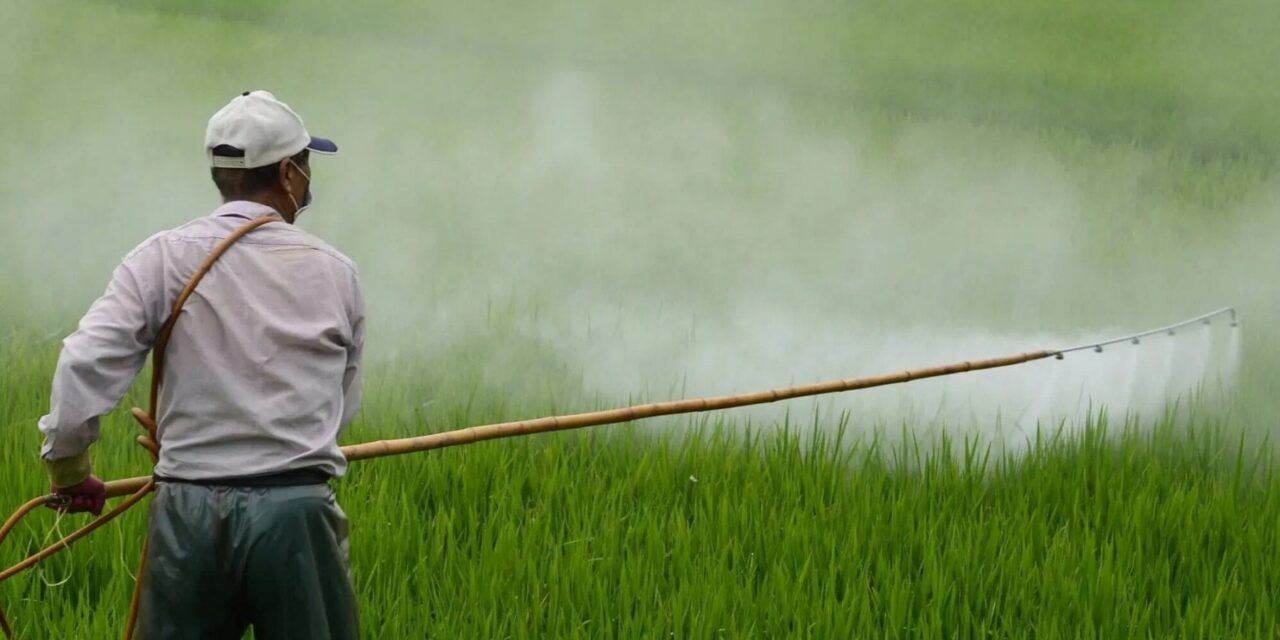 Non può esserci salute globale senza ridurre l’uso dei pesticidi